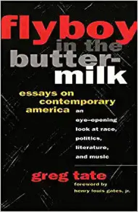 Flyboy in the Buttermilk: Essays on Contemporary America