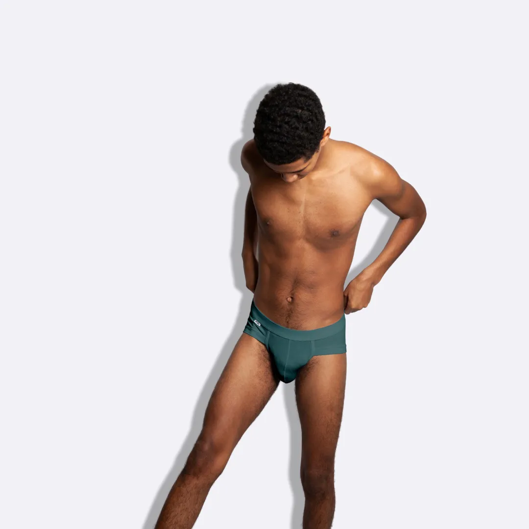 The Dragonfly Fall Briefs