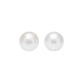 Top Grade Freshwater Semi Round Pearl Stud Earrings WE00239